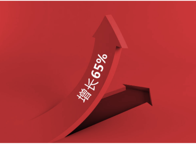 蘭德年報快訊:咨詢業務增長65%,投資業務全面啟動