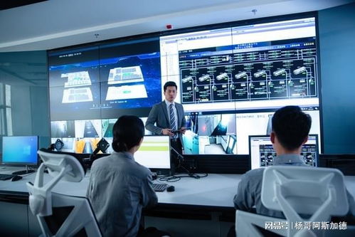 中國天然卵磷脂市場運行格局分析與投資戰略咨詢報告2024 2030年