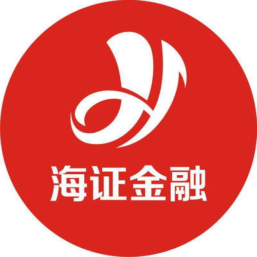 湖南海證投資咨詢
