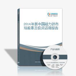 2016-2021年中國磁力鎖市場前景及投資機會研究