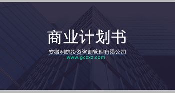 安徽利皖投資咨詢管理專業(yè)編寫商業(yè)計劃書 可行性節(jié)能報告